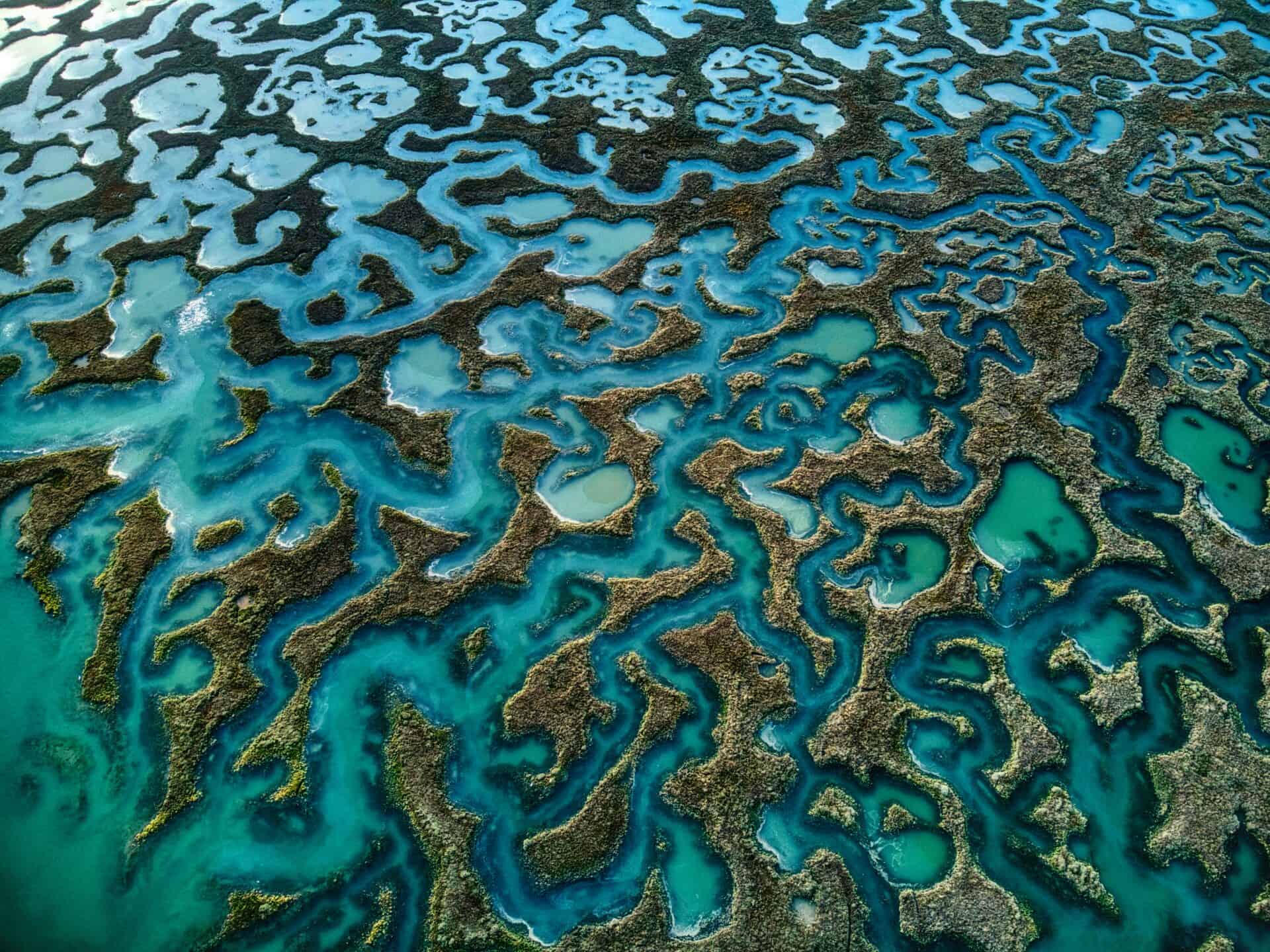 An aerial view of the reef from a plane flying over.