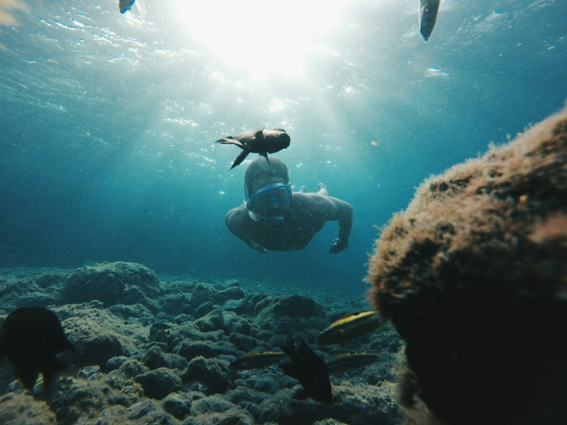 The ongoing education and Marine Monitoring needed to ensure reef recovery and protection