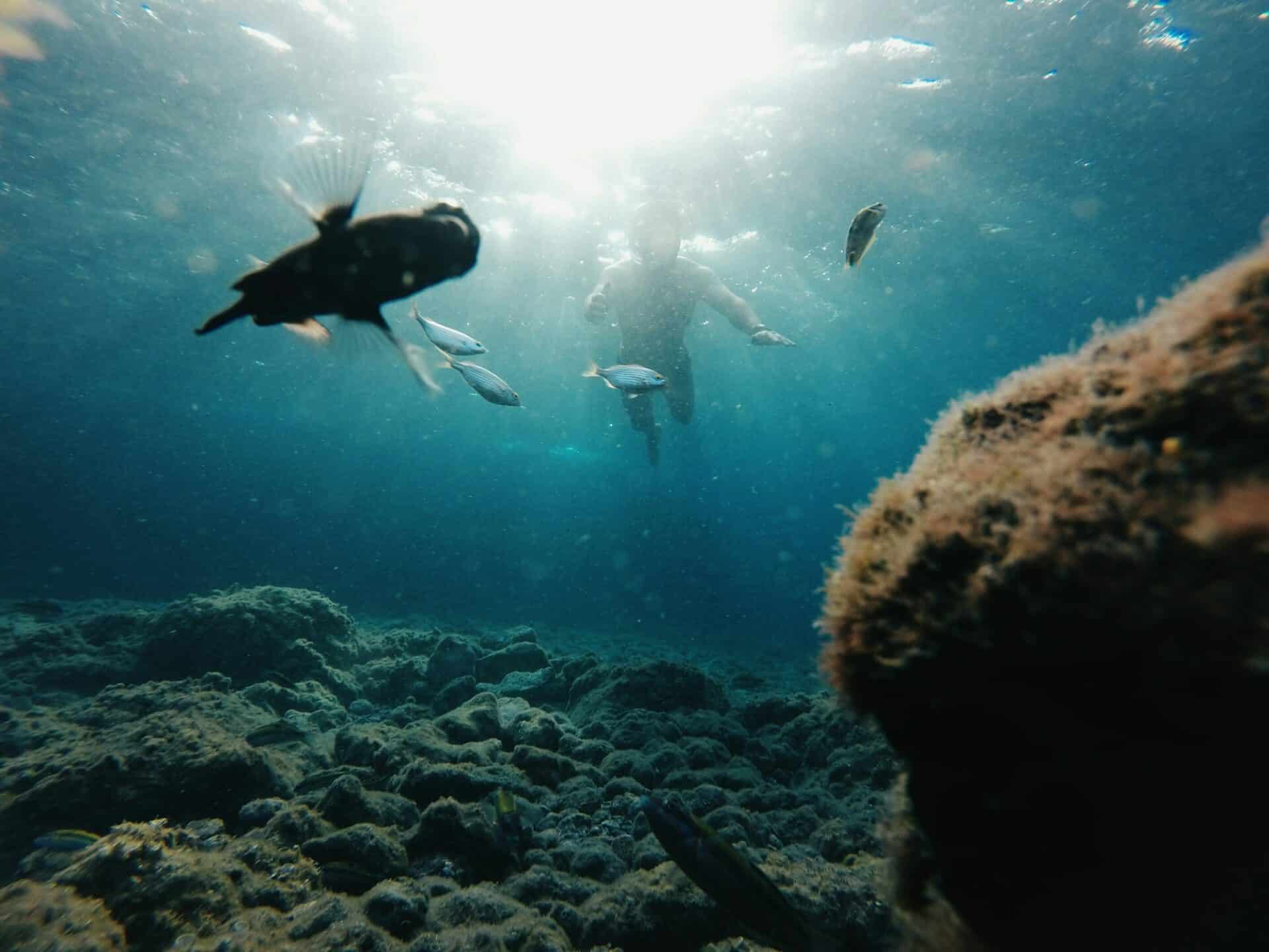 Marine park on the reef