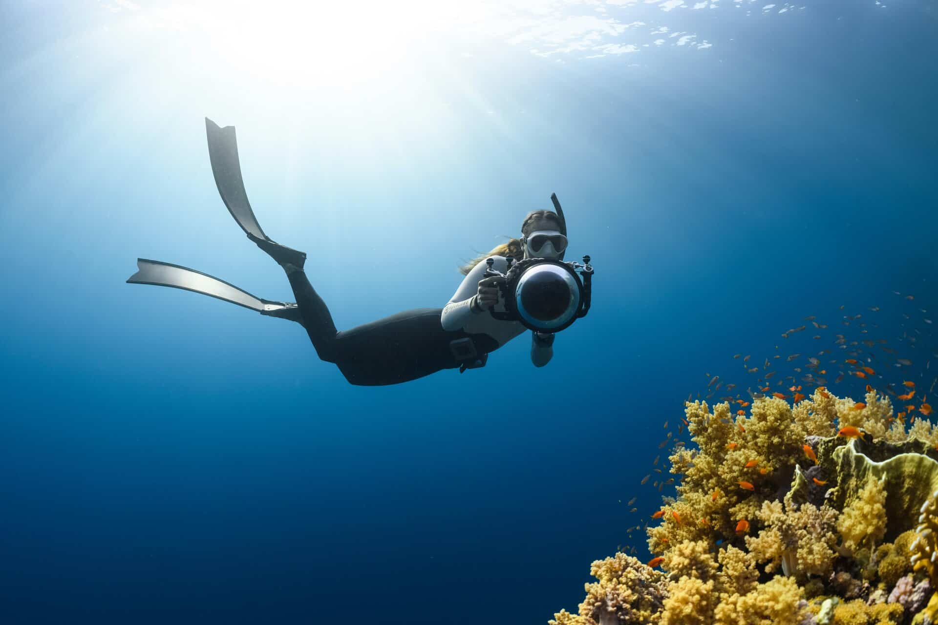 Monitoring the reef