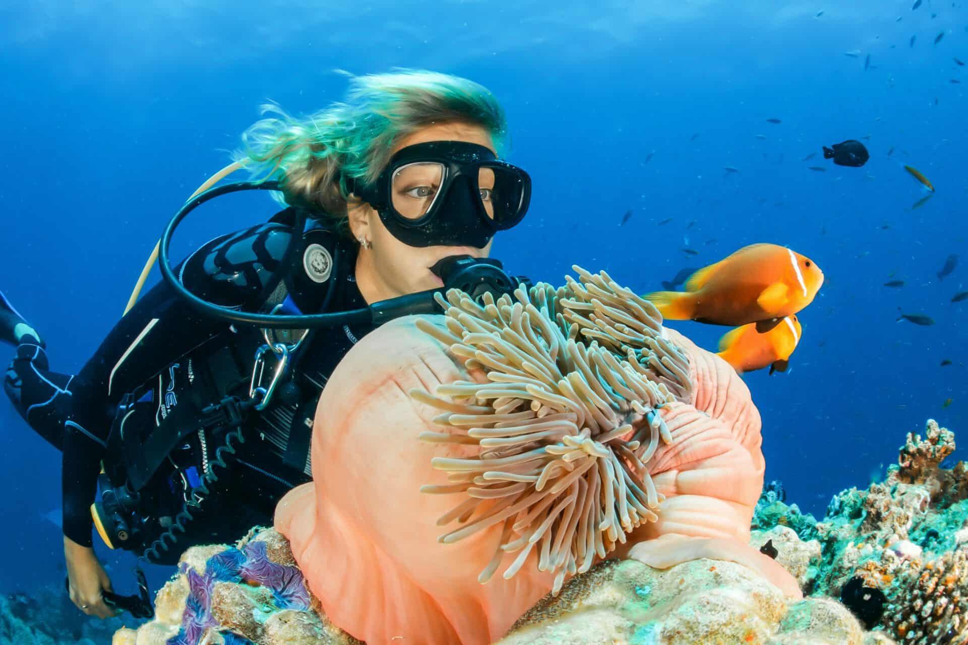 A diver enjoying the reef