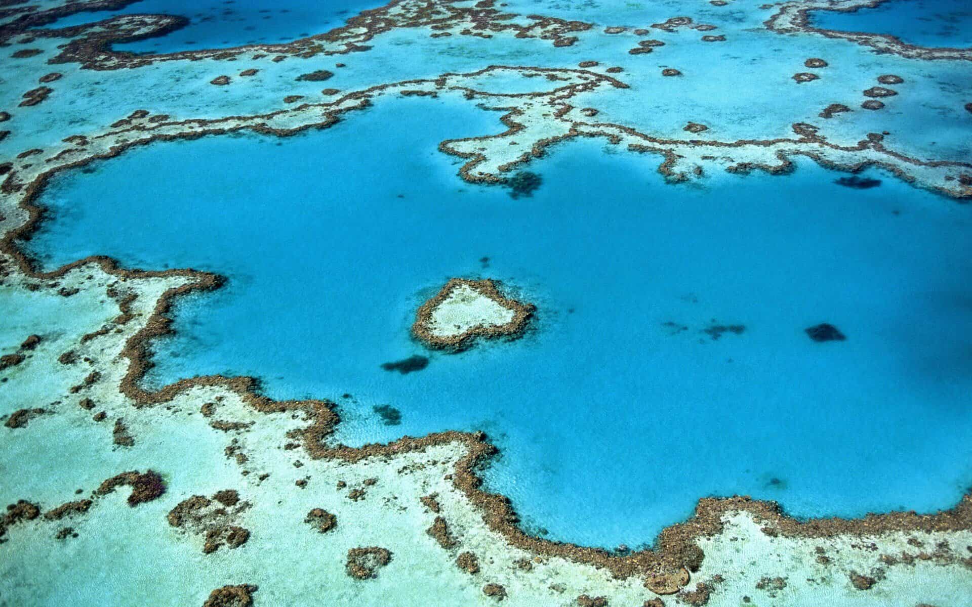 Great Barrier Reef in Australia from an aerial shot in a plan flying over the reef.